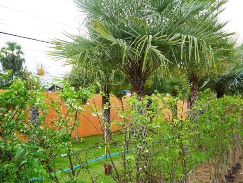 Tinna Resort Ban Nong Mai Ngam Dış mekan fotoğraf